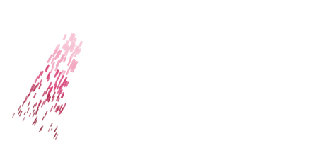 Mil Duchas